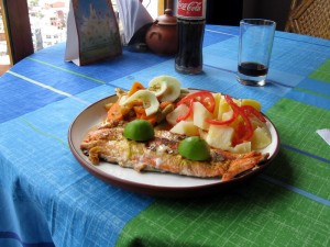 Trout in La Cupula Trout in La Cupula