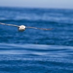 MatevzH-Island-web-3455