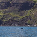 MatevzH-Island-web-3488