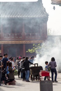 MatevzH_zid_lama-7961