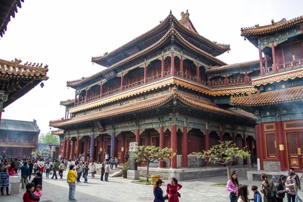 MatevzH_zid_lama-7962