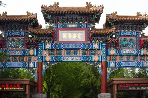 MatevzH_zid_lama-7985