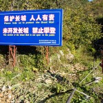 Warning at the beginning